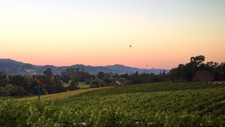 Out & About in Napa Valley