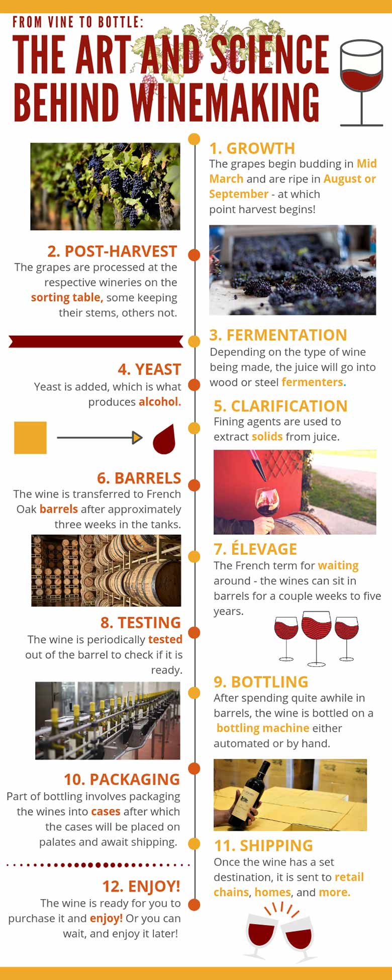 From Vine to Bottle: The Art and Science Behind Winemaking