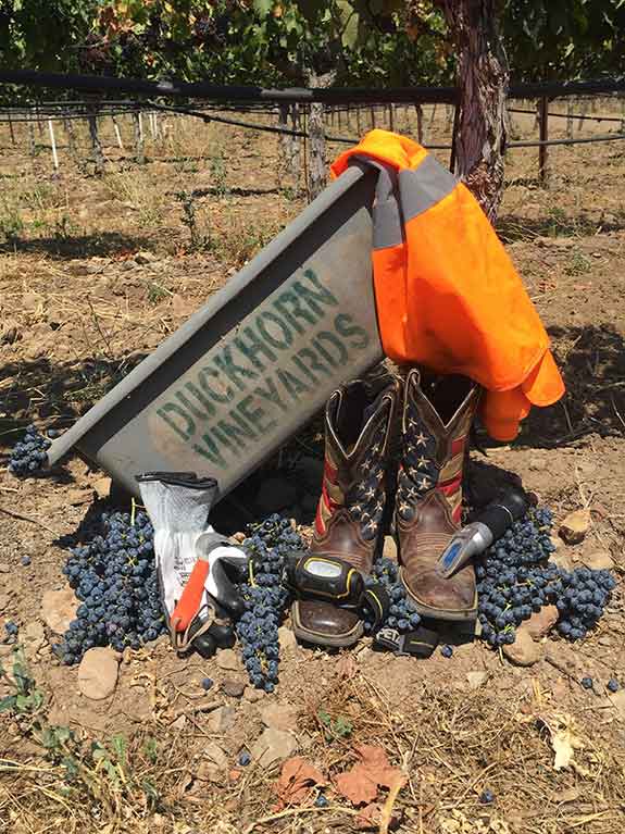 The Tools of Harvest