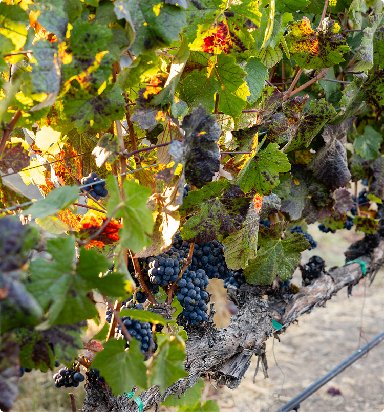 2014