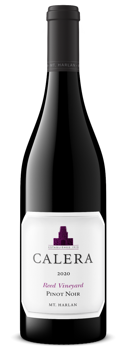 2020 Calera Mt. Harlan Pinot Noir Reed Vineyard