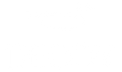 Decoy